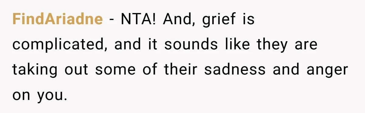 FindAriadne − NTA! And, grief is complicated, and it sounds like they are taking out some of their sadness and anger on you.
