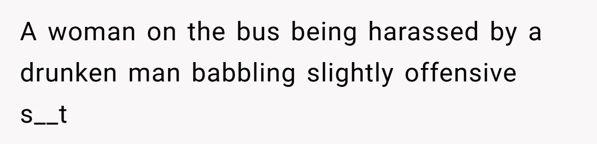 A woman on the bus being harassed by a drunken man babbling slightly offensive s__t