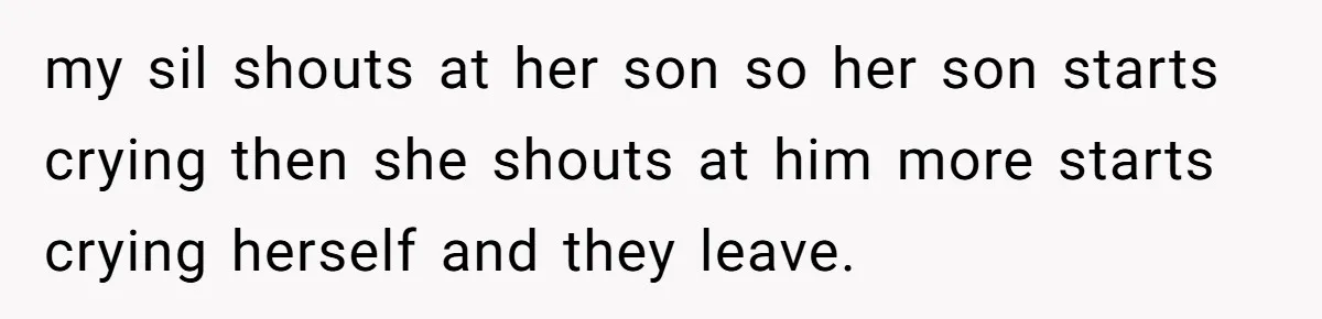 my sil shouts at her son so her son starts crying then she shouts at him more starts crying herself and they leave.