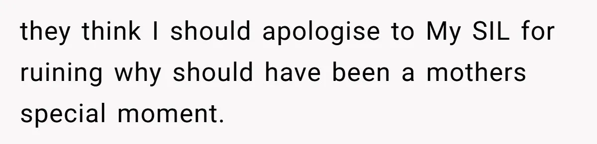 they think I should apologise to My SIL for ruining why should have been a mothers special moment.
