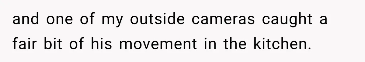 and one of my outside cameras caught a fair bit of his movement in the kitchen.