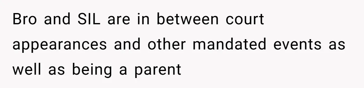 Bro and SIL are in between court appearances and other mandated events as well as being a parent