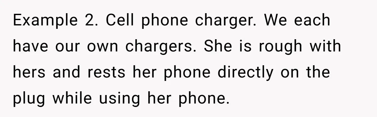 Example 2. Cell phone charger. We each have our own chargers. She is rough with hers and rests her phone directly on the plug while using her phone.
