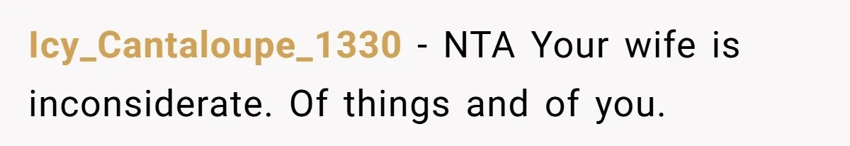 Icy_Cantaloupe_1330 − NTA Your wife is inconsiderate. Of things and of you.