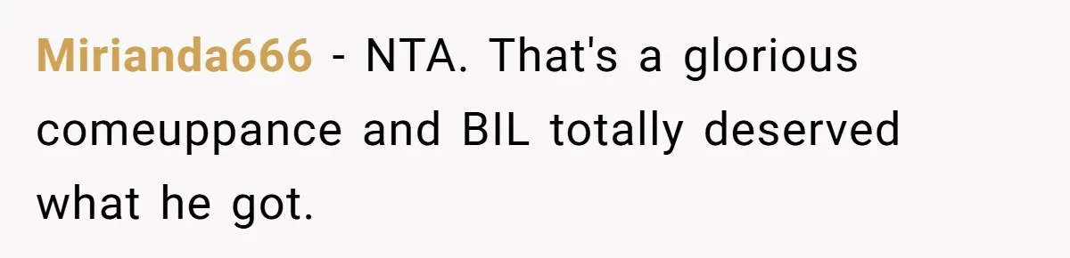 Mirianda666 − NTA. That's a glorious comeuppance and BIL totally deserved what he got.