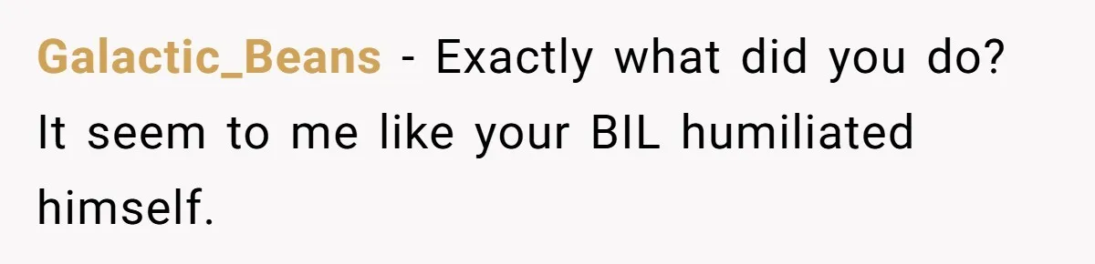 Galactic_Beans − Exactly what did you do? It seem to me like your BIL humiliated himself.