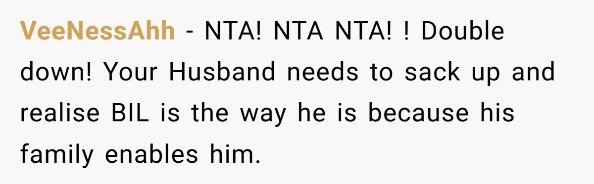 VeeNessAhh − NTA! NTA NTA! ! Double down! Your Husband needs to sack up and realise BIL is the way he is because his family enables him.