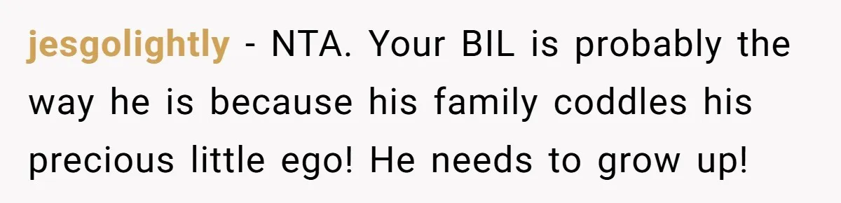 jesgolightly − NTA. Your BIL is probably the way he is because his family coddles his precious little ego! He needs to grow up!