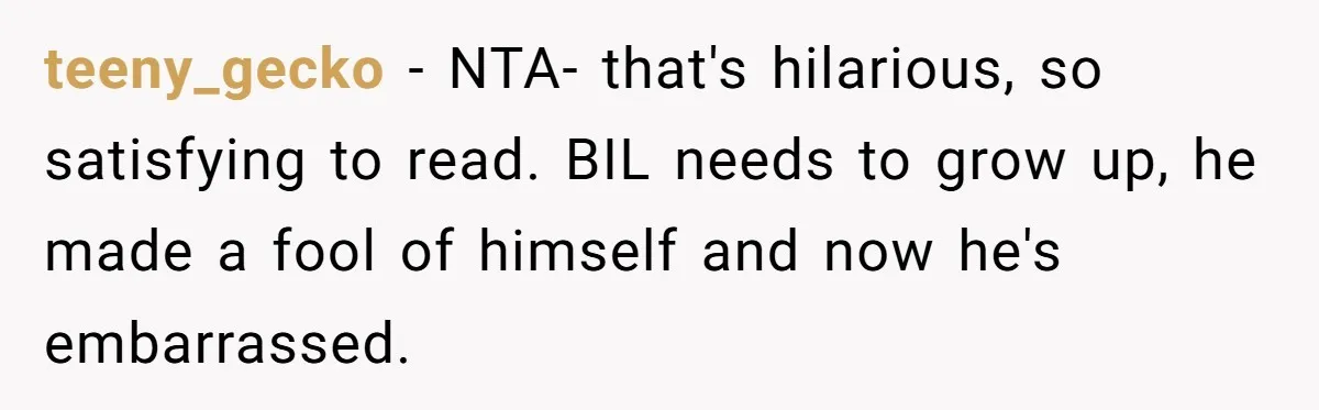 teeny_gecko − NTA- that's hilarious, so satisfying to read. BIL needs to grow up, he made a fool of himself and now he's embarrassed.