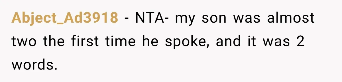 Abject_Ad3918 − NTA- my son was almost two the first time he spoke, and it was 2 words.