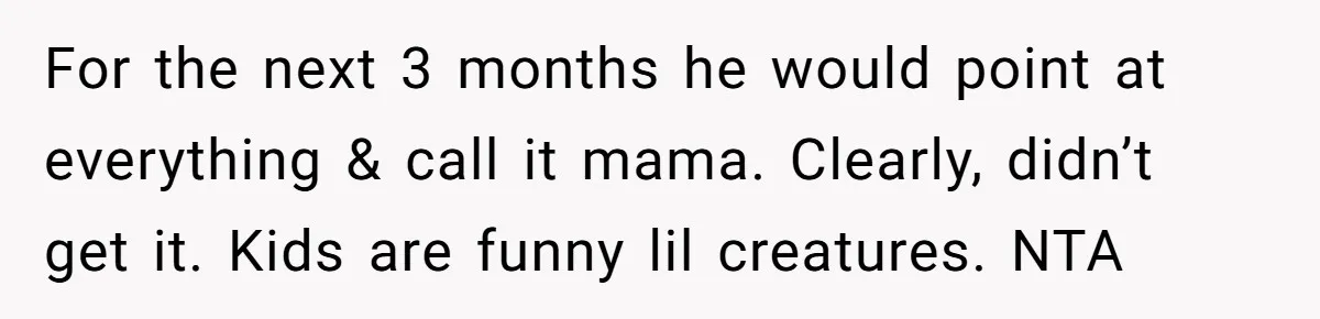 For the next 3 months he would point at everything & call it mama. Clearly, didn’t get it. Kids are funny lil creatures. NTA