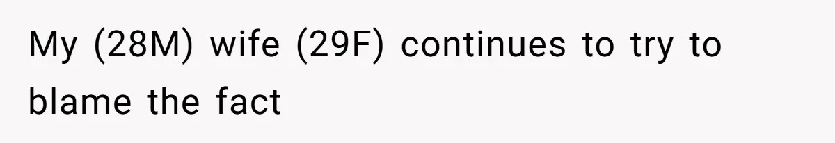 My (28M) wife (29F) continues to try to blame the fact