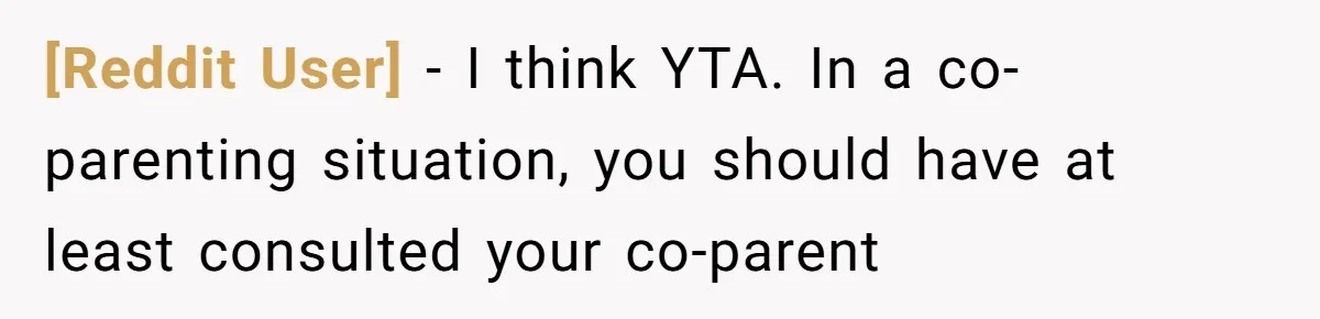 [Reddit User] − I think YTA. In a co-parenting situation, you should have at least consulted your co-parent