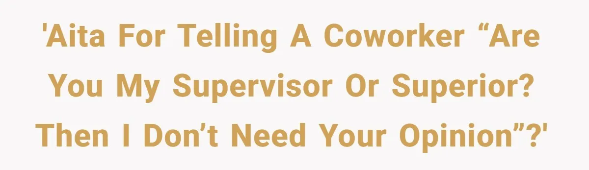'AITA for telling a coworker “are you my supervisor or superior? Then I don’t need your opinion”?'