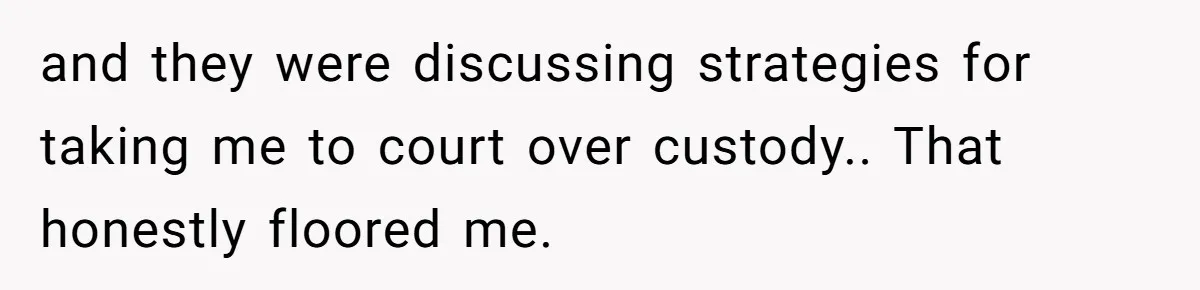 and they were discussing strategies for taking me to court over custody.. That honestly floored me.