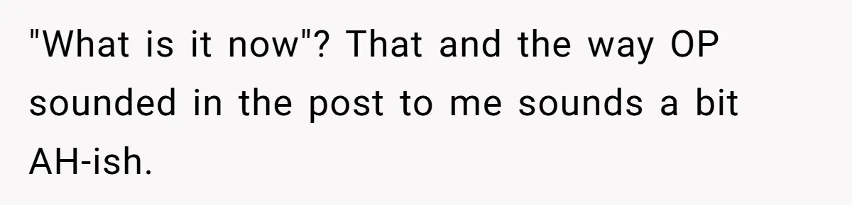 "What is it now"? That and the way OP sounded in the post to me sounds a bit AH-ish.