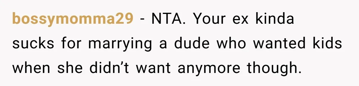 bossymomma29 − NTA. Your ex kinda sucks for marrying a dude who wanted kids when she didn’t want anymore though.