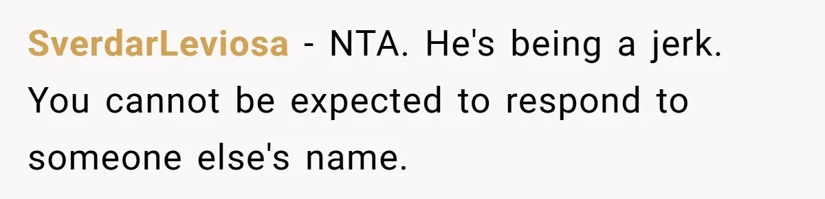 SverdarLeviosa − NTA. He's being a jerk. You cannot be expected to respond to someone else's name.