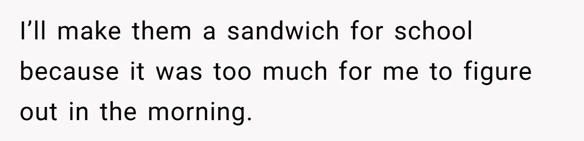 I’ll make them a sandwich for school because it was too much for me to figure out in the morning.