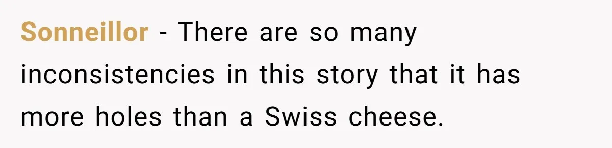 Sonneillor − There are so many inconsistencies in this story that it has more holes than a Swiss cheese.