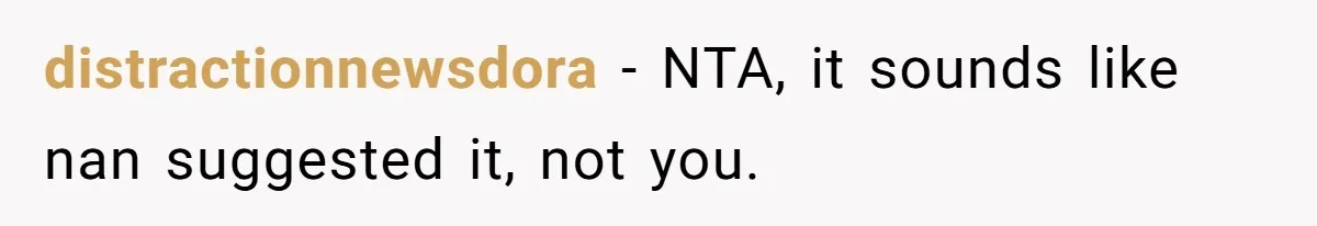 distractionnewsdora − NTA, it sounds like nan suggested it, not you.