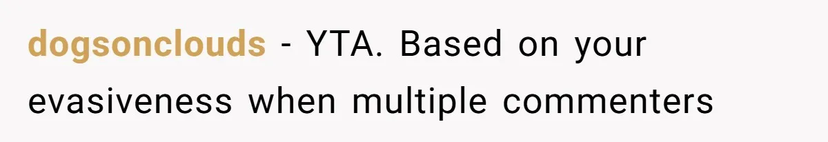 dogsonclouds − YTA. Based on your evasiveness when multiple commenters