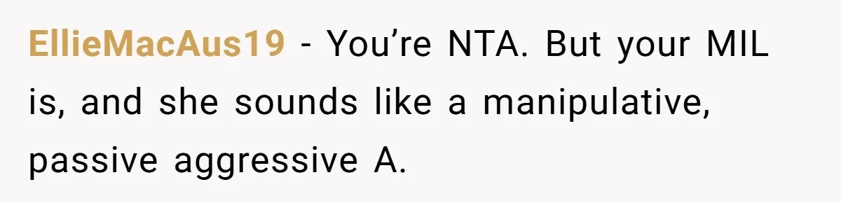EllieMacAus19 − You’re NTA. But your MIL is, and she sounds like a manipulative, passive aggressive A.