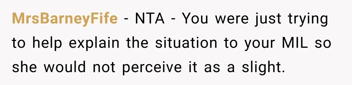 MrsBarneyFife − NTA - You were just trying to help explain the situation to your MIL so she would not perceive it as a slight.
