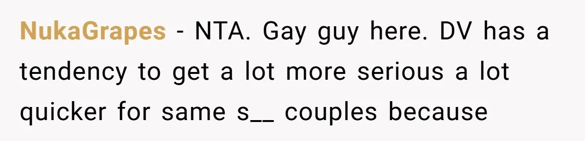NukaGrapes − NTA. Gay guy here. DV has a tendency to get a lot more serious a lot quicker for same s__ couples because