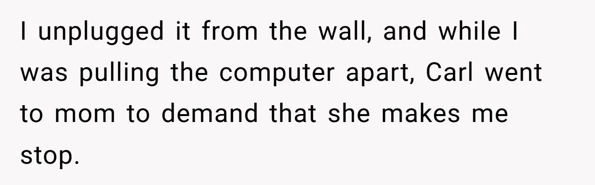 I unplugged it from the wall, and while I was pulling the computer apart, Carl went to mom to demand that she makes me stop.