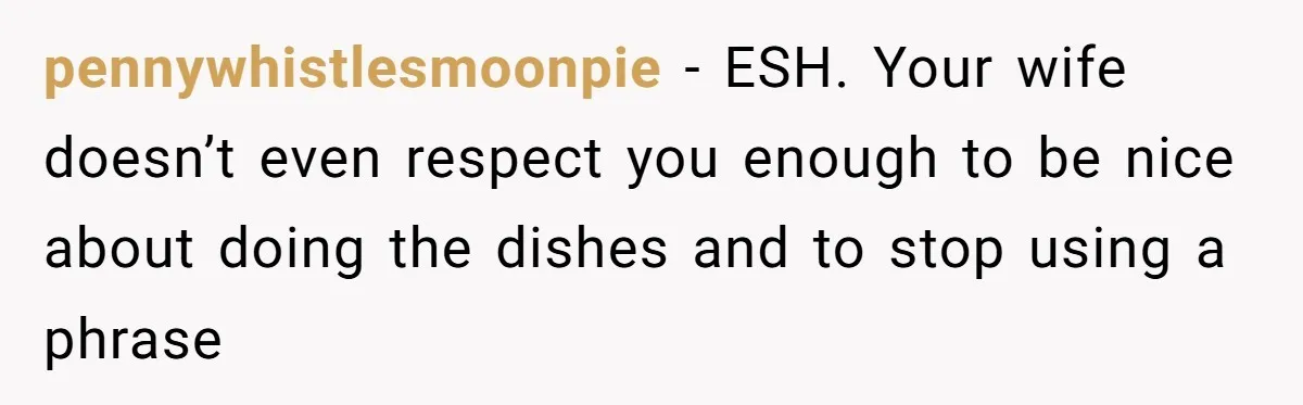 pennywhistlesmoonpie − ESH. Your wife doesn’t even respect you enough to be nice about doing the dishes and to stop using a phrase