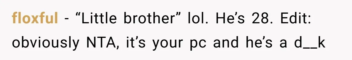 floxful − “Little brother” lol. He’s 28. Edit: obviously NTA, it’s your pc and he’s a d__k