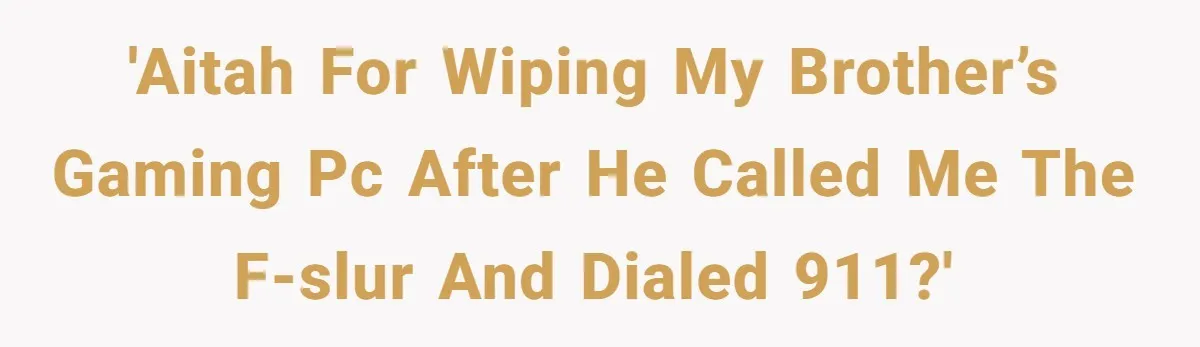 'AITAH for Wiping My Brother’s Gaming PC After He Called Me the F-Slur and Dialed 911?'