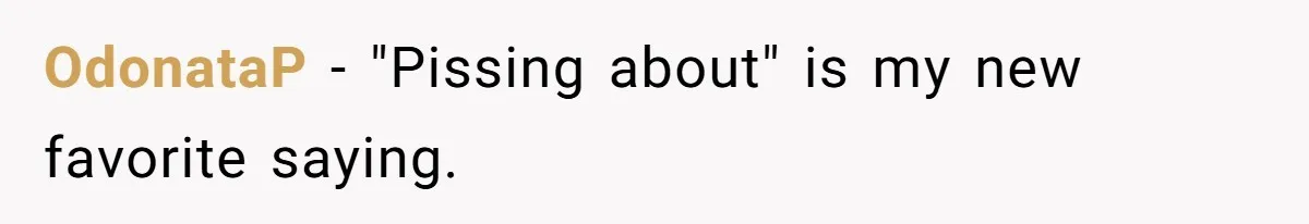 OdonataP − "Pissing about" is my new favorite saying.