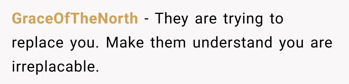 GraceOfTheNorth − They are trying to replace you. Make them understand you are irreplacable.