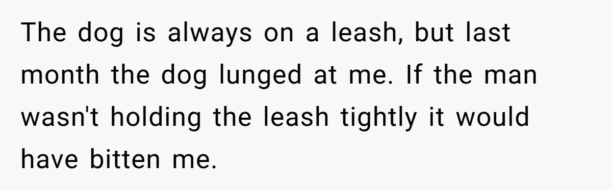 The dog is always on a leash, but last month the dog lunged at me. If the man wasn't holding the leash tightly it would have bitten me.