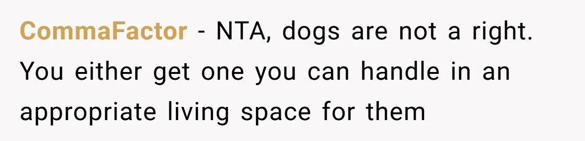 CommaFactor − NTA, dogs are not a right. You either get one you can handle in an appropriate living space for them