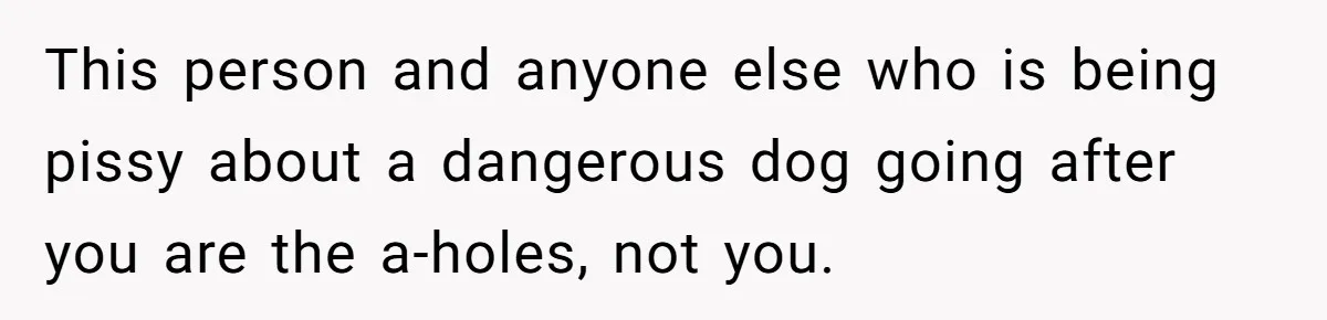 This person and anyone else who is being pissy about a dangerous dog going after you are the a-holes, not you.