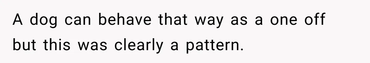 A dog can behave that way as a one off but this was clearly a pattern.