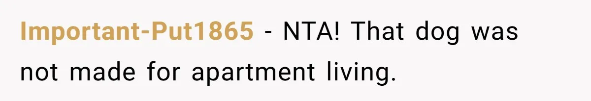 Important-Put1865 − NTA! That dog was not made for apartment living.