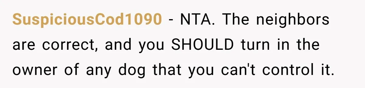 SuspiciousCod1090 − NTA. The neighbors are correct, and you SHOULD turn in the owner of any dog that you can't control it.