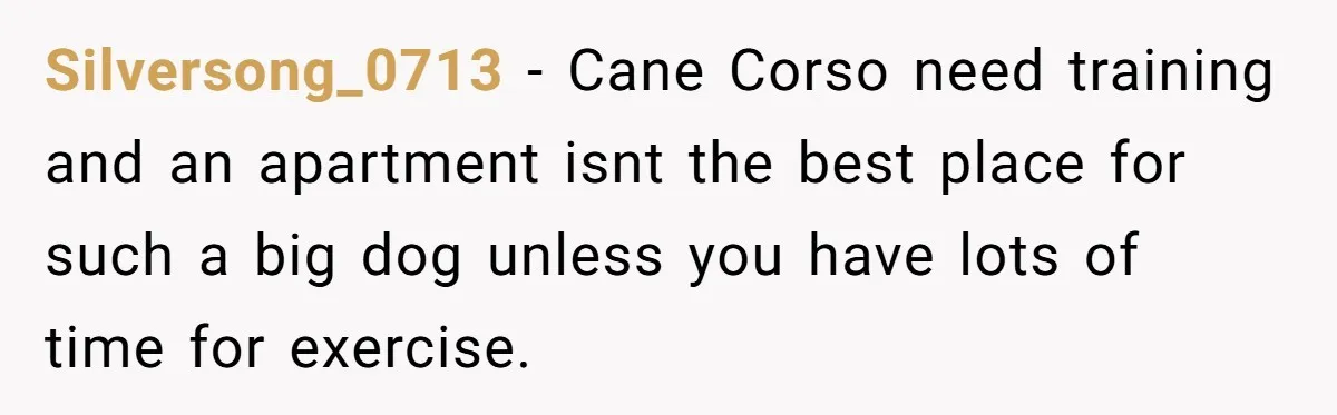 Silversong_0713 − Cane Corso need training and an apartment isnt the best place for such a big dog unless you have lots of time for exercise.