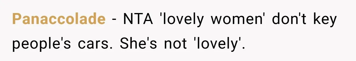 Panaccolade − NTA 'lovely women' don't key people's cars. She's not 'lovely'.