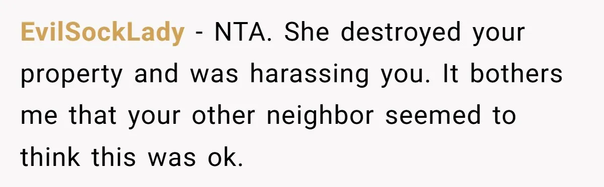 EvilSockLady − NTA. She destroyed your property and was harassing you. It bothers me that your other neighbor seemed to think this was ok.