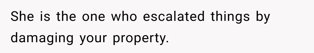 She is the one who escalated things by damaging your property.