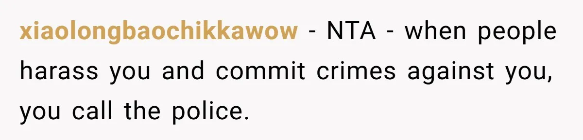 xiaolongbaochikkawow − NTA - when people harass you and commit crimes against you, you call the police.