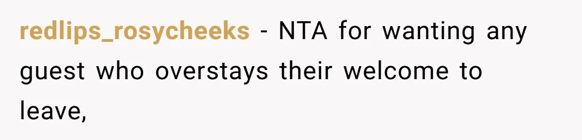 redlips_rosycheeks − NTA for wanting any guest who overstays their welcome to leave,
