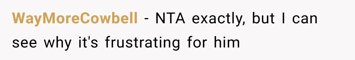 WayMoreCowbell − NTA exactly, but I can see why it's frustrating for him