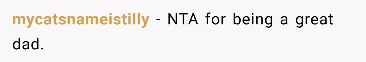 mycatsnameistilly − NTA for being a great dad.