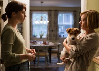 She Refused to Be the Family’s Default Pet Sitter, and It Sparked a Family Backlash
